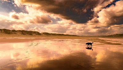 一些常用的免登录的免费图片处理网站收藏
